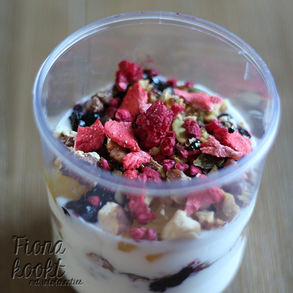 Luxe yoghurt 1 grote reisbeker
