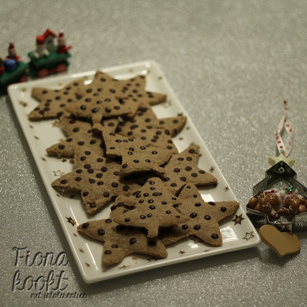 Gingerbread koekjes
