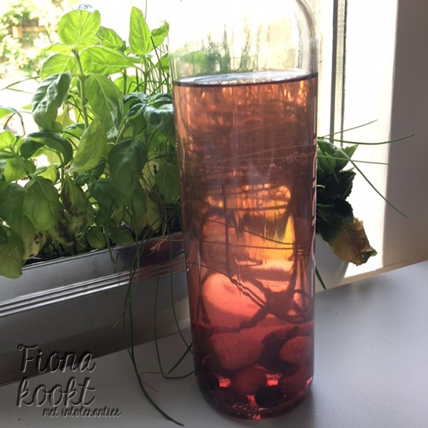 /storage/photos/2019/Drinken/iceteabosvruchten600.jpg