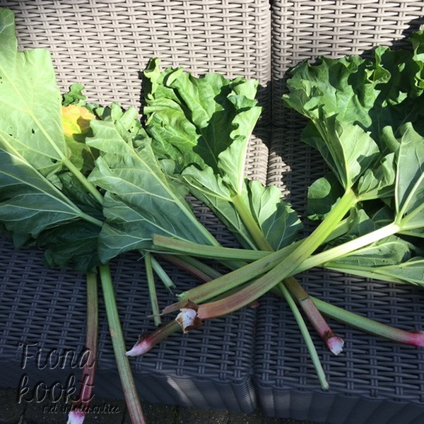 Moestuin