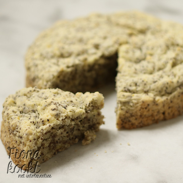 Vegan basis cake