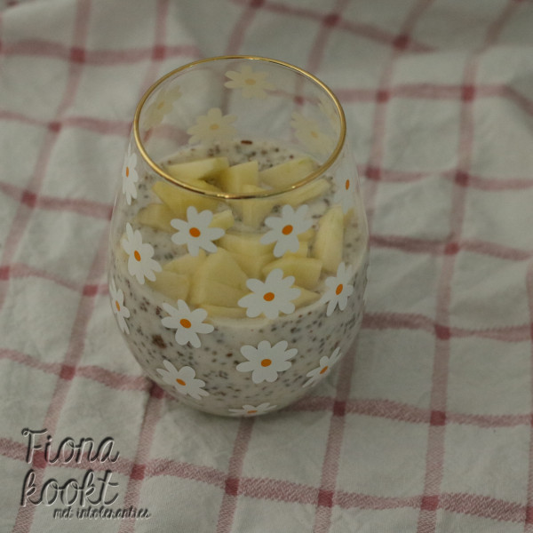 Overnight oat appel kaneel