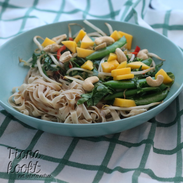 Rijstnoedels met cashewnoten en mango
